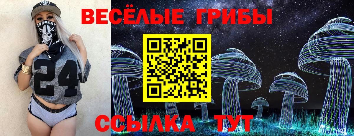 Галлюциногенные грибы прущие грибы Мурино