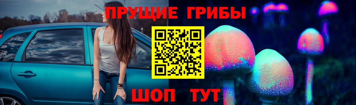 Псилоцибиновые грибы Psilocybe  Вход с VPN  Псилоцибиновые грибы Magic Shrooms  Мурино 